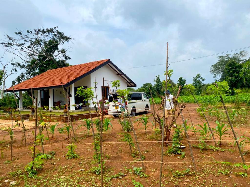 Moni Farm House Wilpattu Nochchiyagama Dış mekan fotoğraf