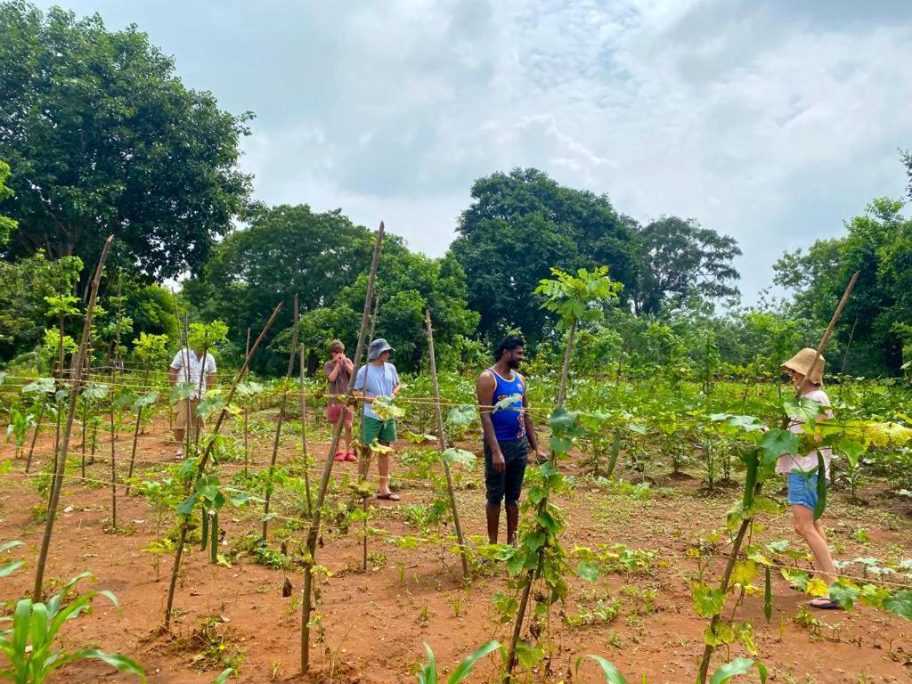 Moni Farm House Wilpattu Nochchiyagama Dış mekan fotoğraf