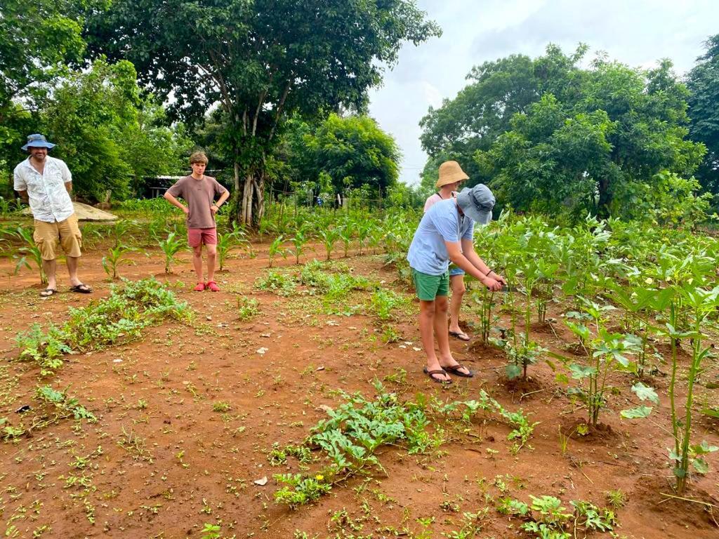 Moni Farm House Wilpattu Nochchiyagama Dış mekan fotoğraf