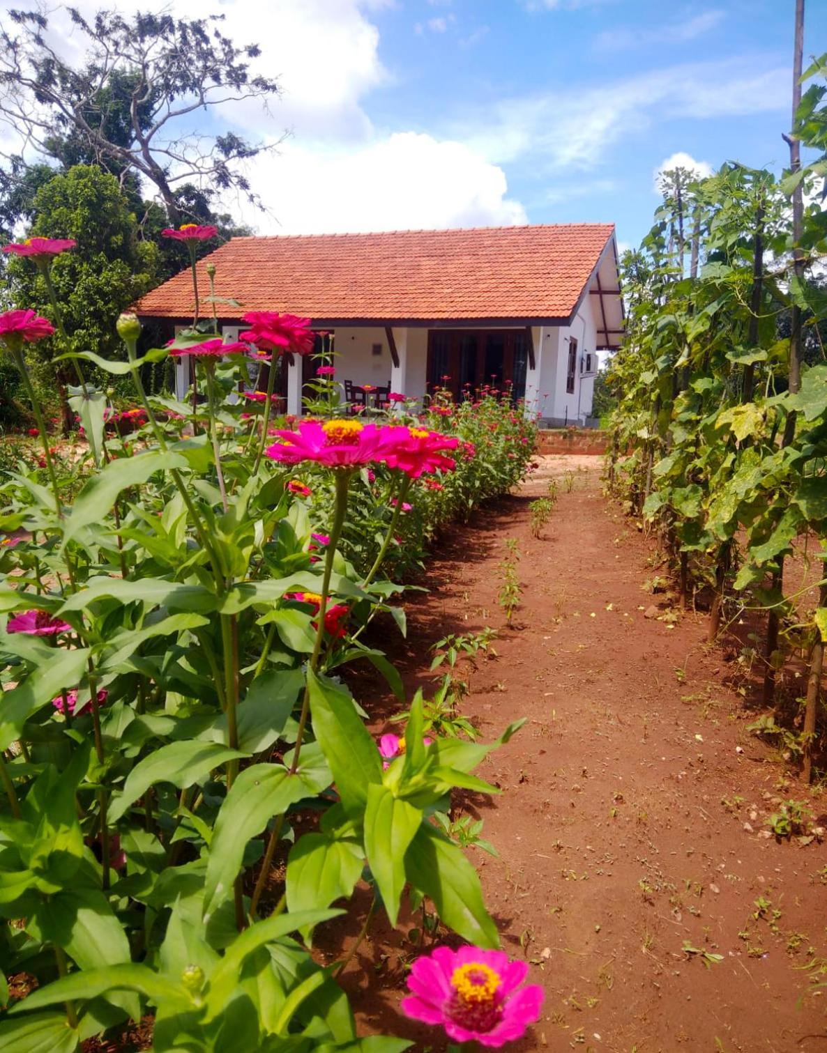 Moni Farm House Wilpattu Nochchiyagama Dış mekan fotoğraf
