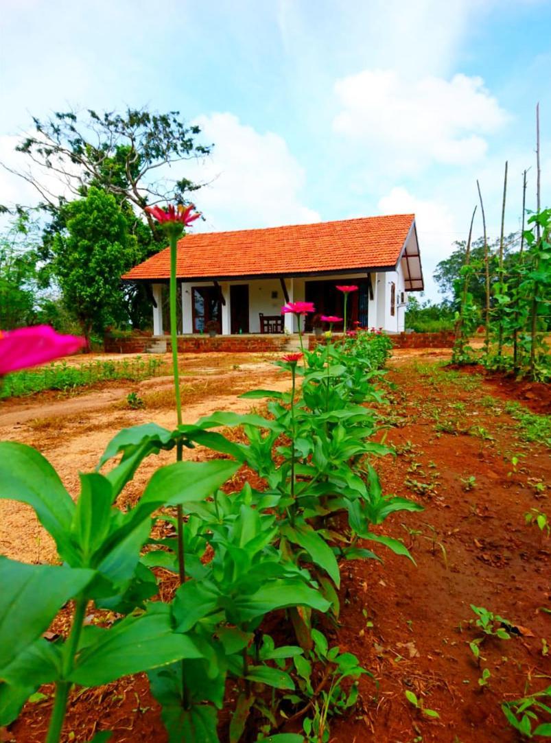 Moni Farm House Wilpattu Nochchiyagama Dış mekan fotoğraf