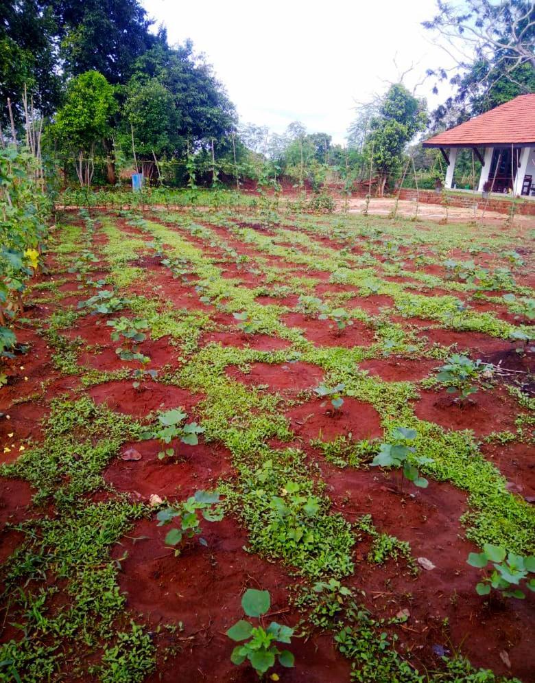 Moni Farm House Wilpattu Nochchiyagama Dış mekan fotoğraf