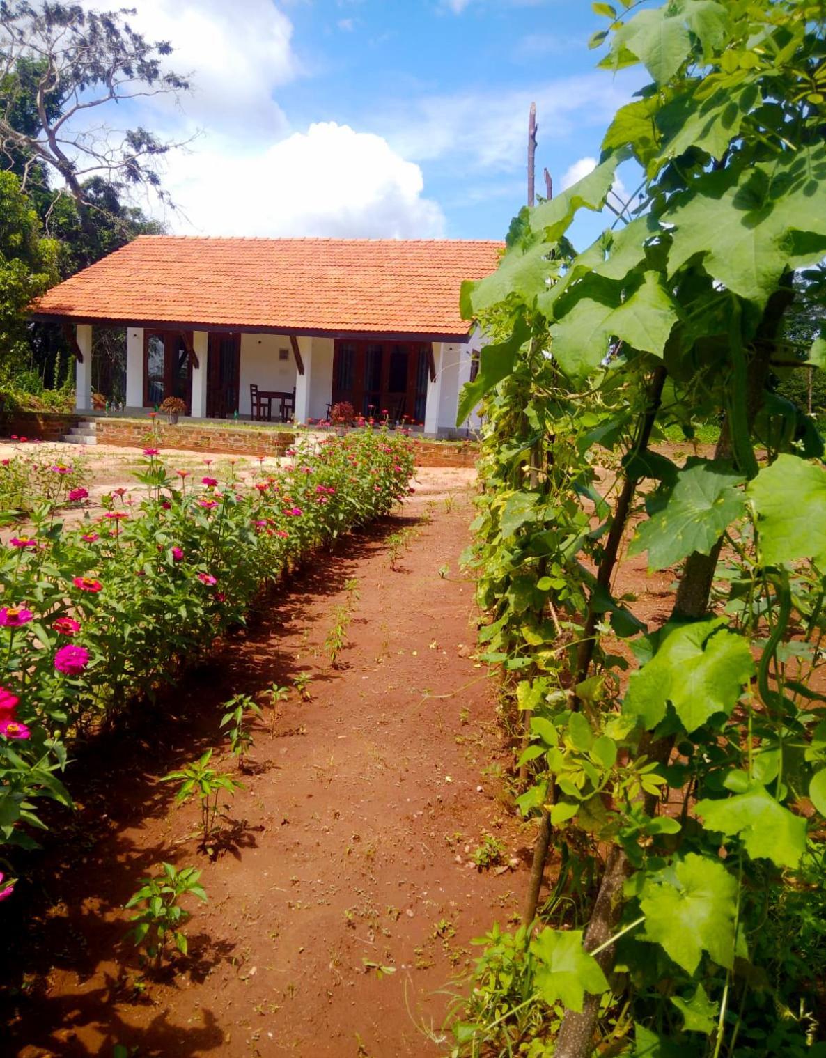 Moni Farm House Wilpattu Nochchiyagama Dış mekan fotoğraf