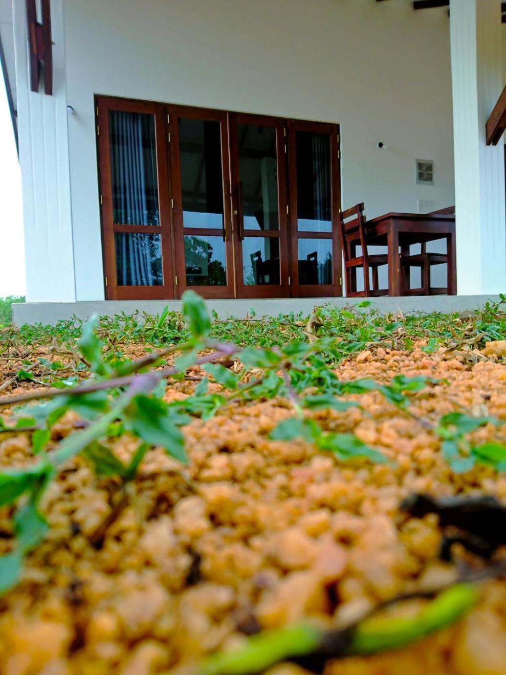 Moni Farm House Wilpattu Nochchiyagama Dış mekan fotoğraf